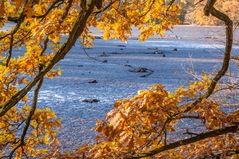 Teich ohne Wasser I - Braunschweig