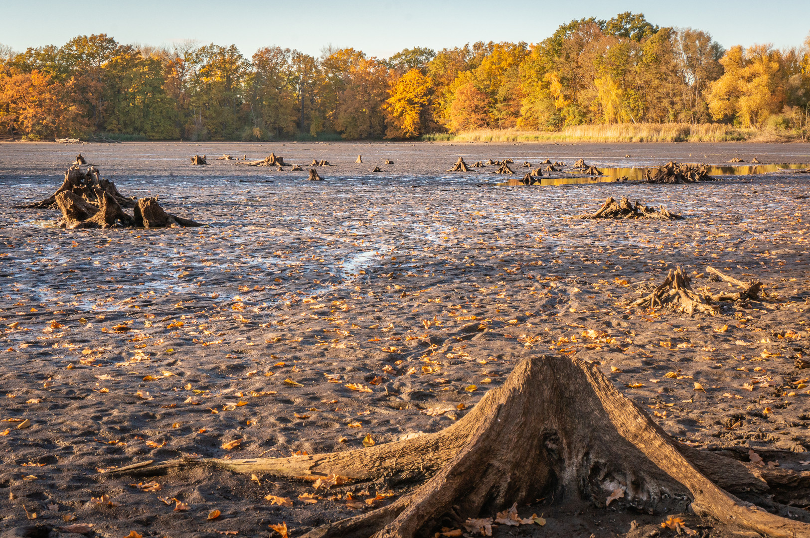 Teich ohne Wasser II - Braunschweig