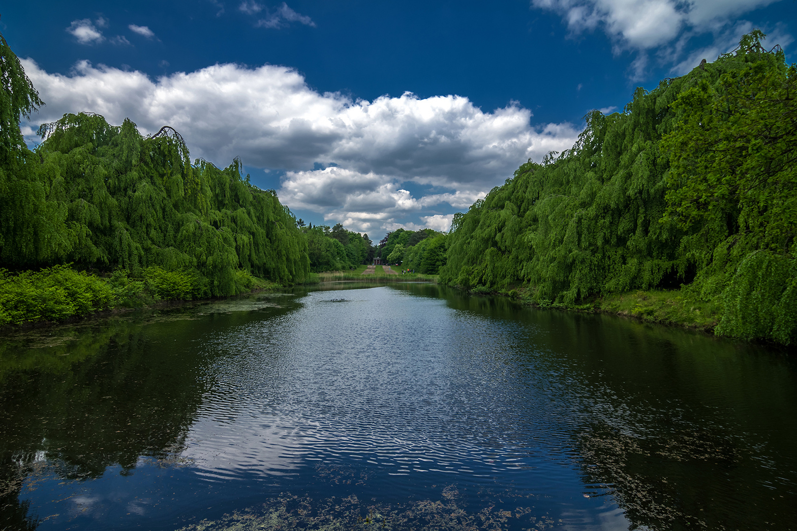 Teich, Parkfriedhof Ohlsdorf