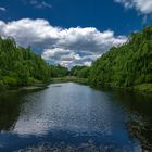 Teich, Parkfriedhof Ohlsdorf