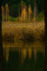 Teich Rottleberode