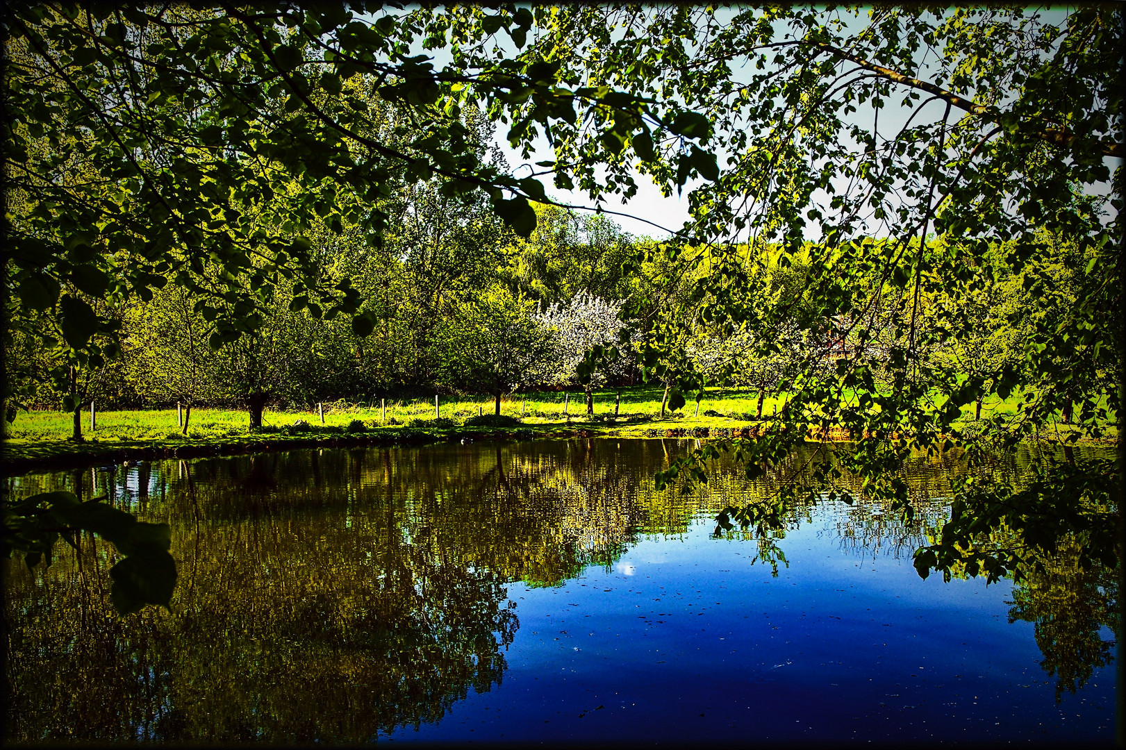 Teich-Spiegelung #2