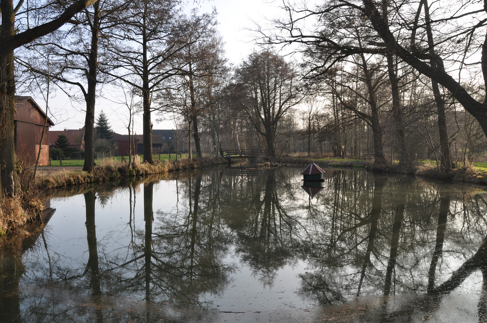 Teich Spiegelung