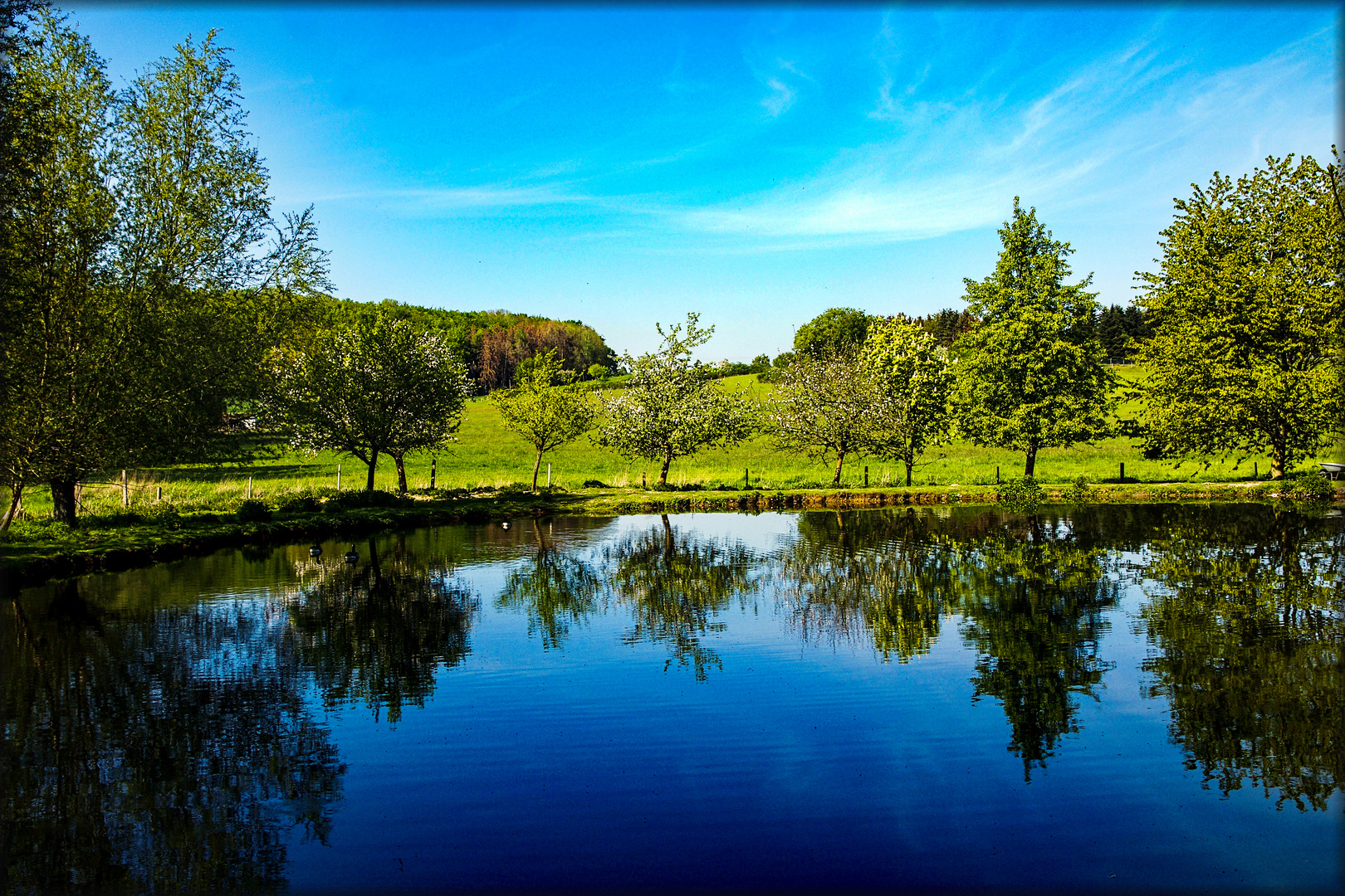 Teich-Spiegelung