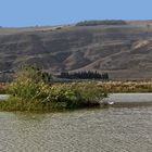 Teich u.Berg in der Galil Landschaft