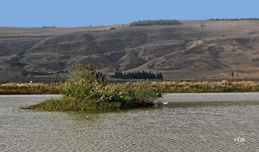 Teich u.Berg in der Galil Landschaft