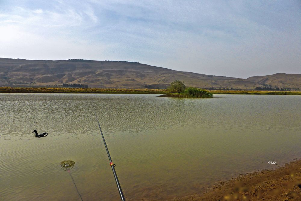 Teich u.Berg in der Galil Landschaft Bild 2