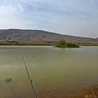 Teich u.Berg in der Galil Landschaft Bild 2