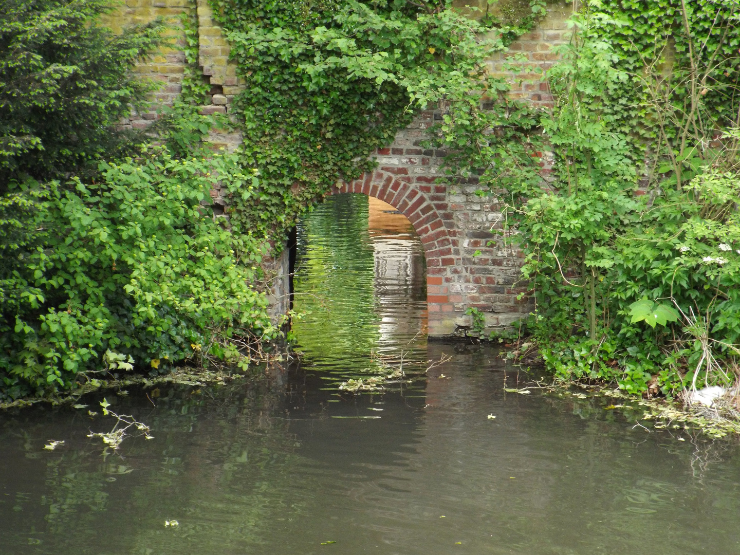 teich und bogen