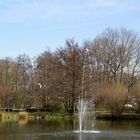 Teich vom Augustinum in Freiburg/St. Georgen