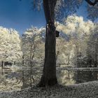 teich waltershausen infrarot