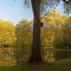 teich waltershausen weible