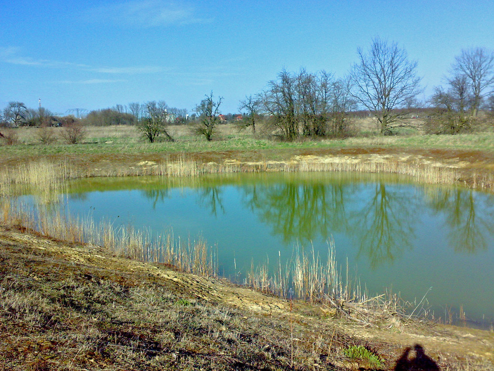 Teich Waßmannsdorf Foto & Bild landschaft, bach, fluss & see, see