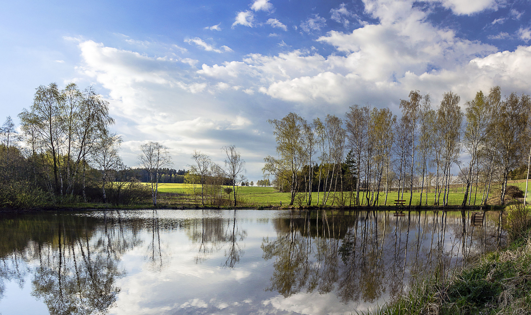 Teich zwischen Schlettau und Hermannsdorf 2