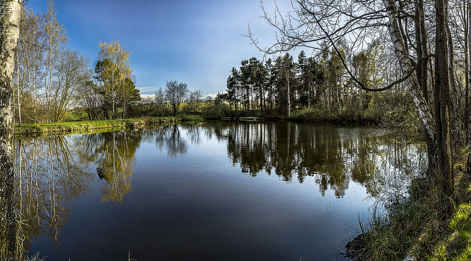Teich zwischen Schlettau und Hermannsdorf Foto & Bild sonstiges