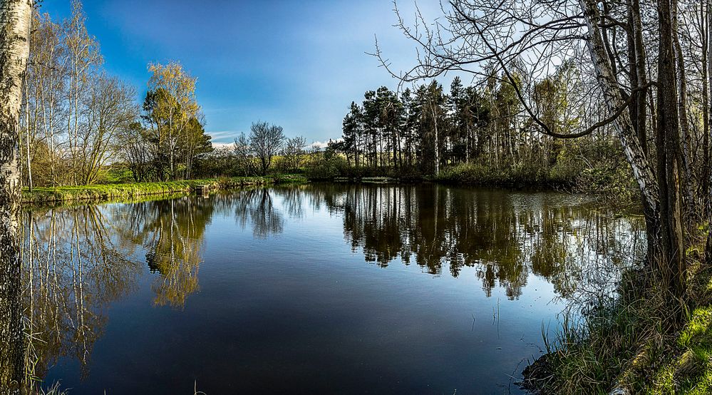 Teich zwischen Schlettau und Hermannsdorf