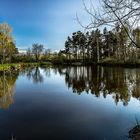 Teich zwischen Schlettau und Hermannsdorf