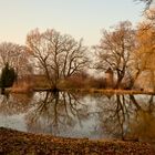 Teichanlage im Park Bellevue