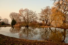 Teichanlage im Park Bellevue