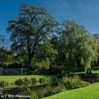Teichanlage im Park vom Schloss Hever
