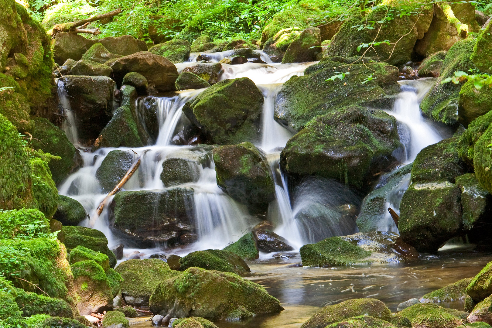 Teichbachschlucht I