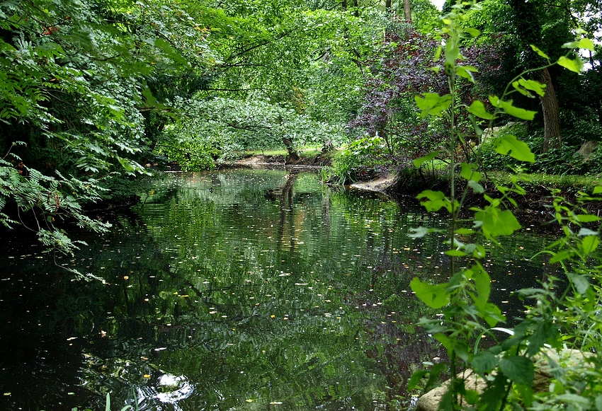 Teichblick