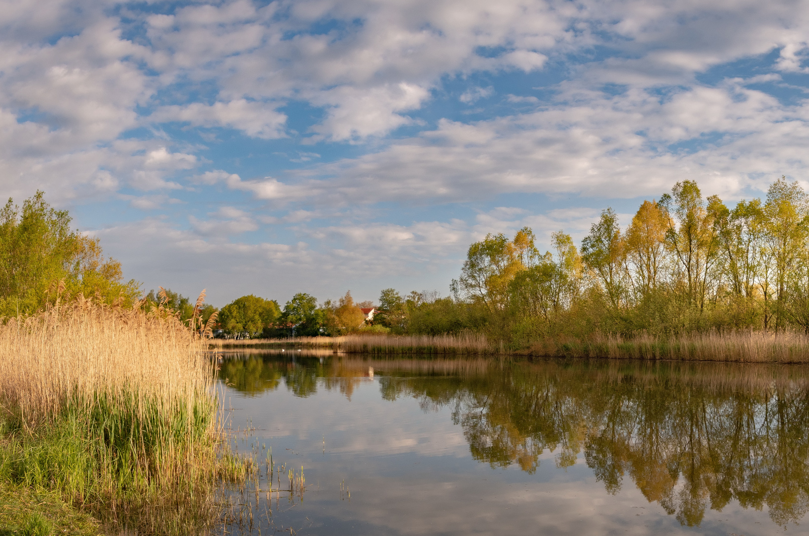 Teichblick