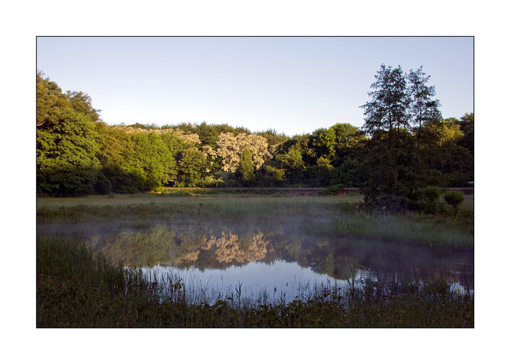 < Teichblick >