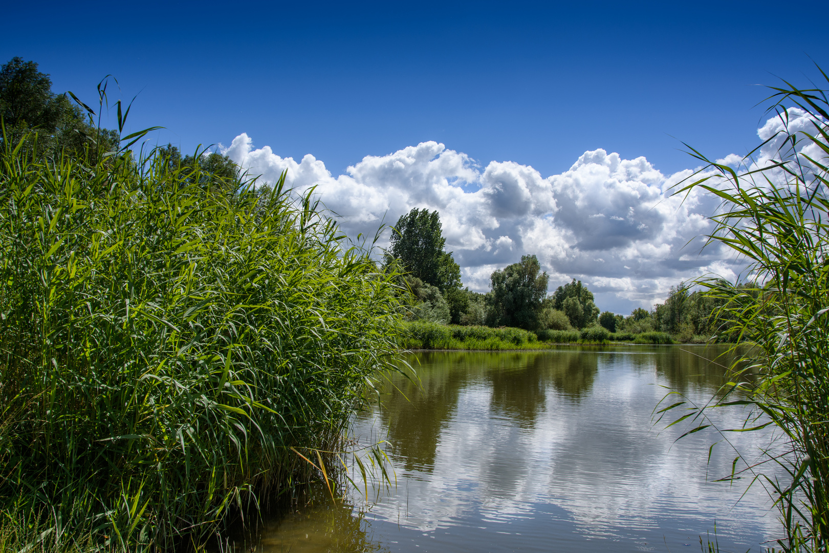 Teichblick