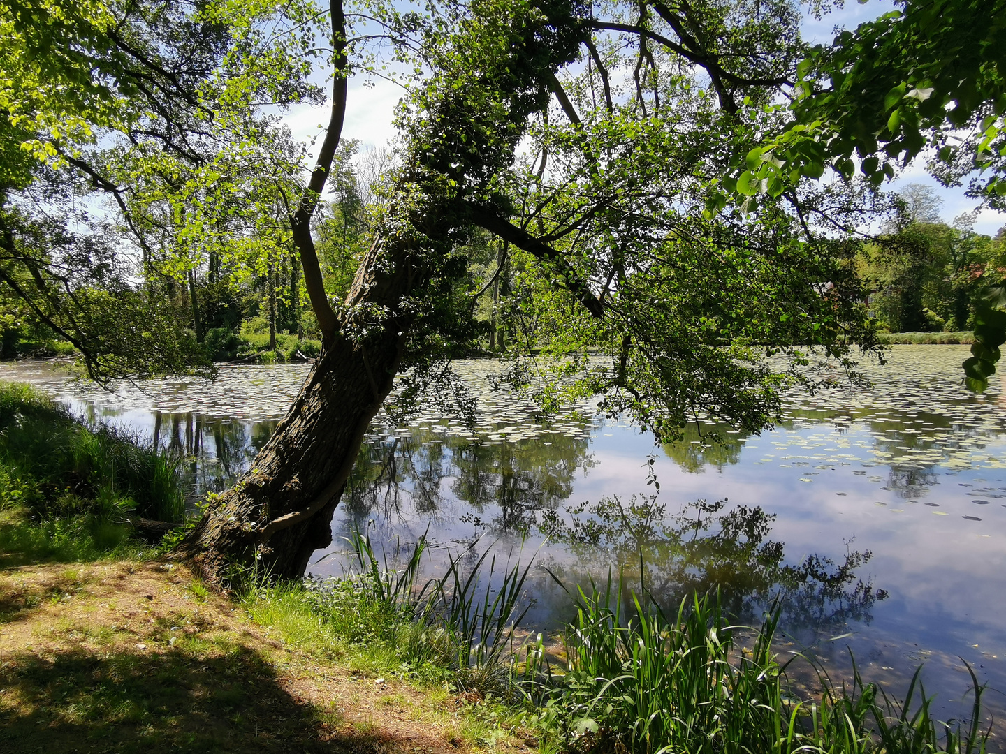 "Teichblick" 