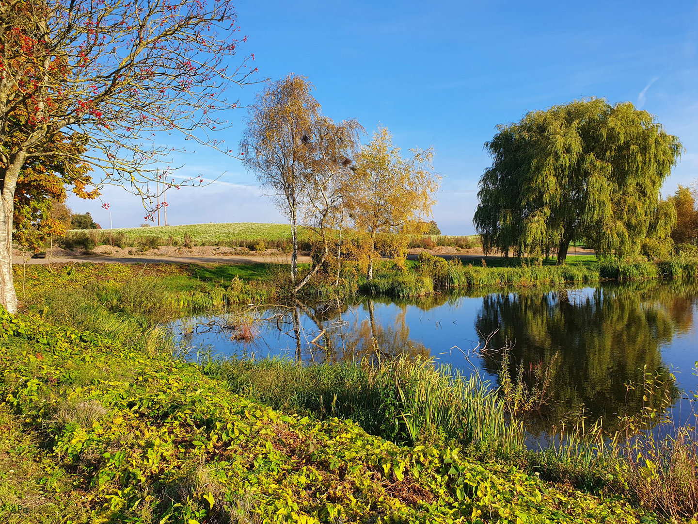 Teichblick in Krusmolle