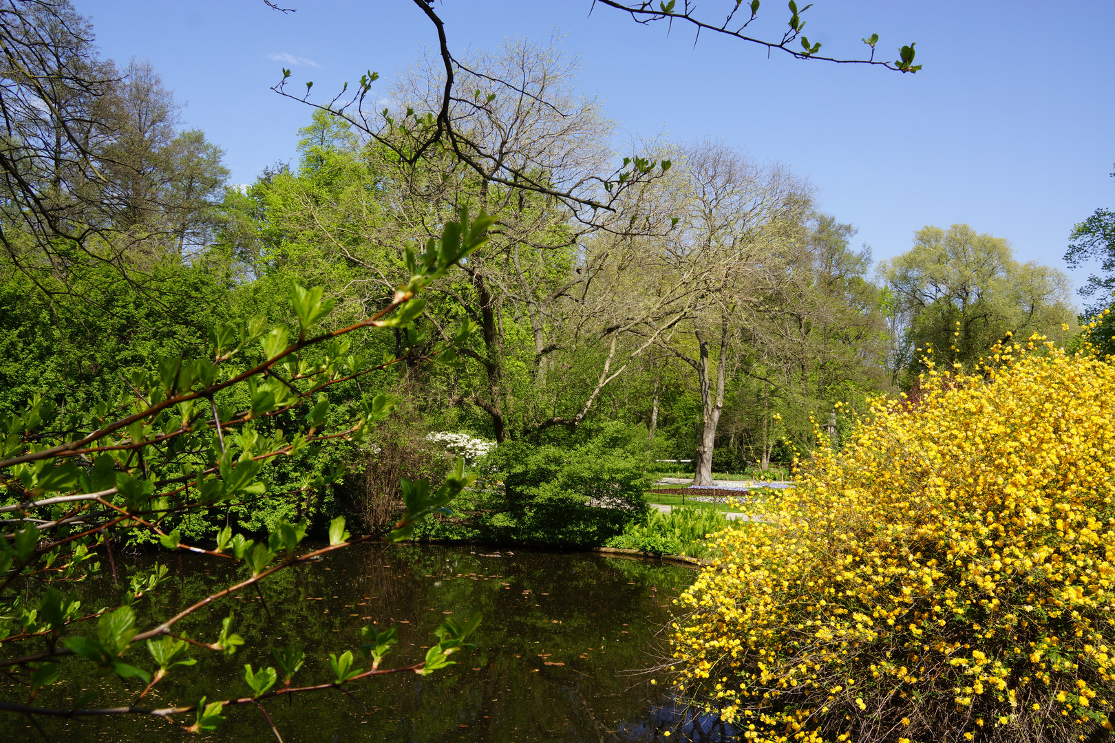 Teiche im Tiergarten