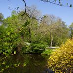 Teiche im Tiergarten