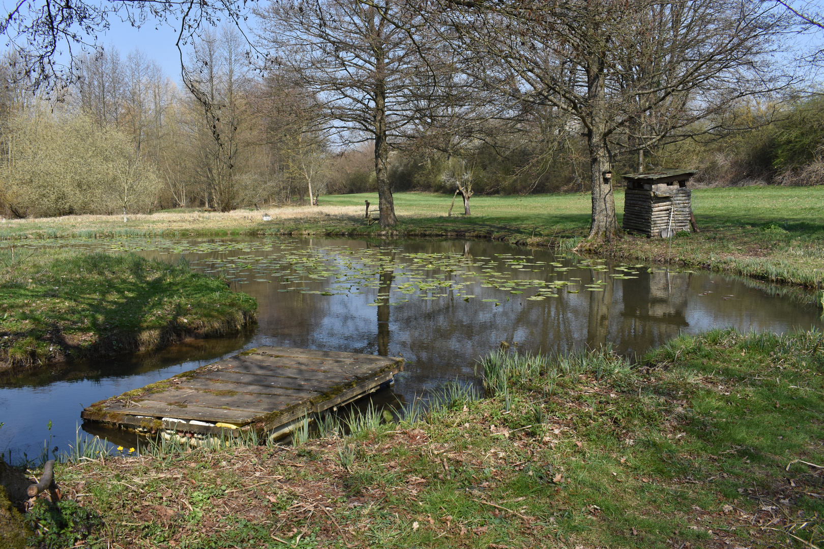 Teiche in den Bruchwiesen Foto & Bild landschaft, jahreszeiten