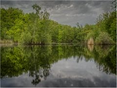 Teiche in Lüneburg Dienstag ist Spiegeltag