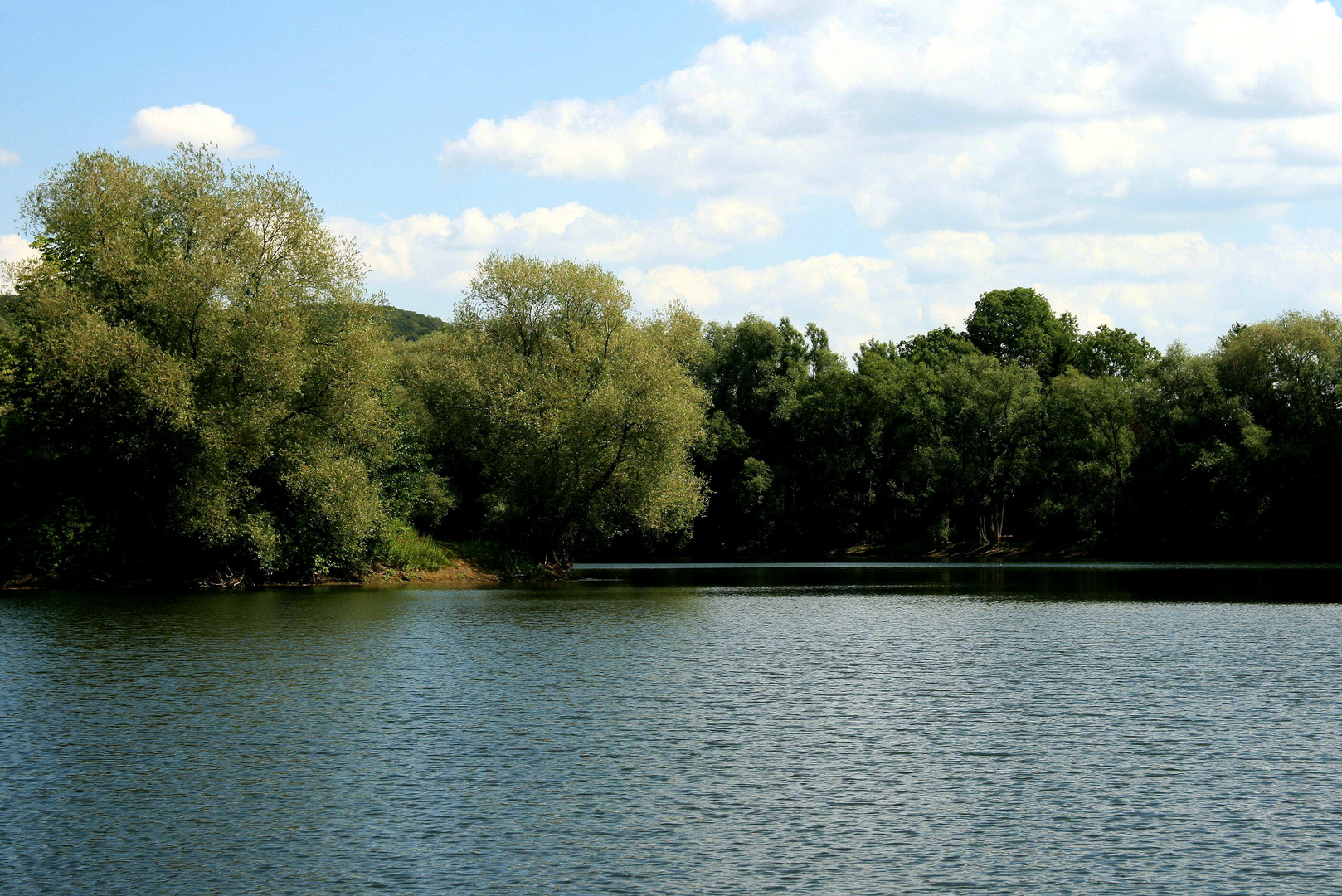 Teichen im August