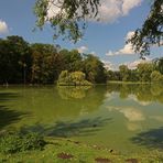 Teichgrün im Licht