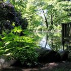 teich_hirschpark