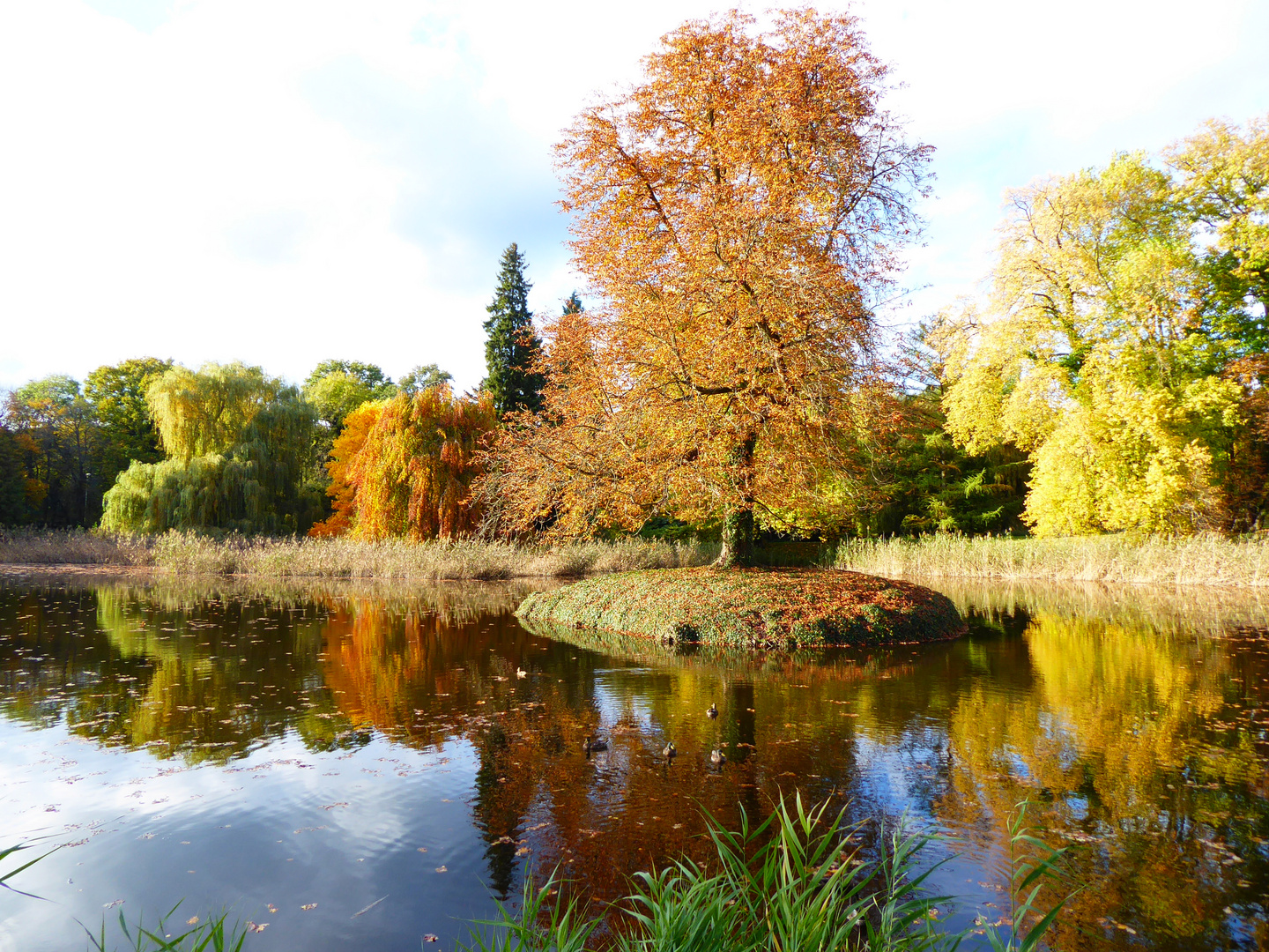 Teichidyll im Herbst