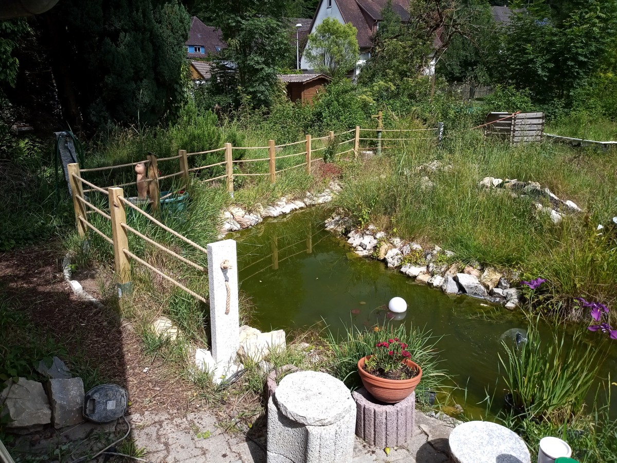 Teichkinder Sicherung Foto & Bild landschaft, garten