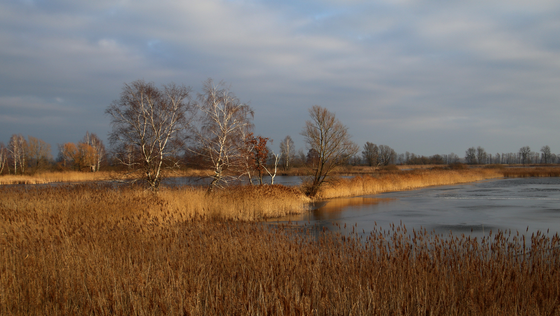 Teichland Linum im Winter