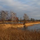 Teichland Linum im Winter