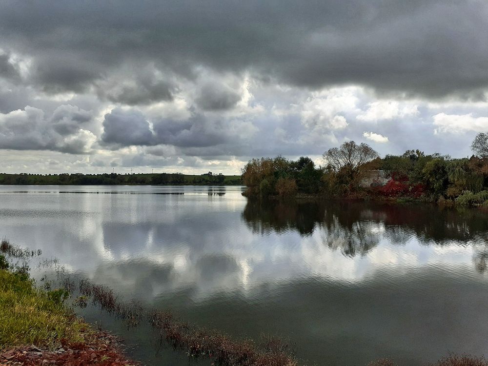 Teichlandschaft (1)