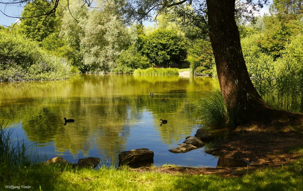 Teichlandschaft Foto & Bild landschaft, bach, fluss & see, see, teich