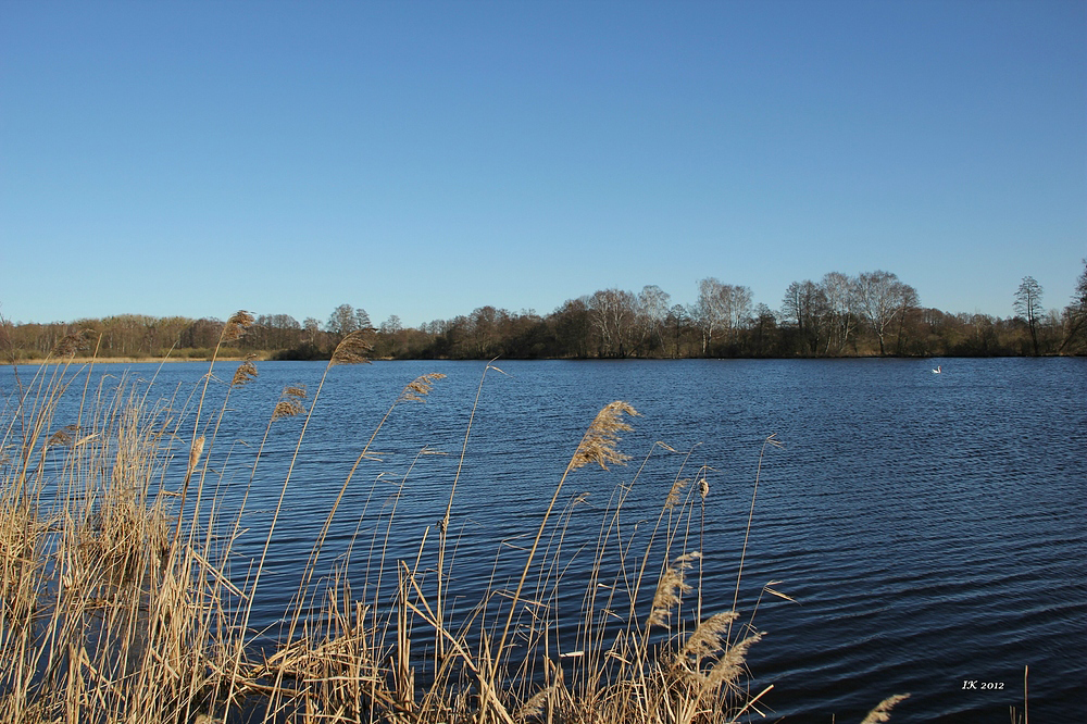 Teichlandschaft