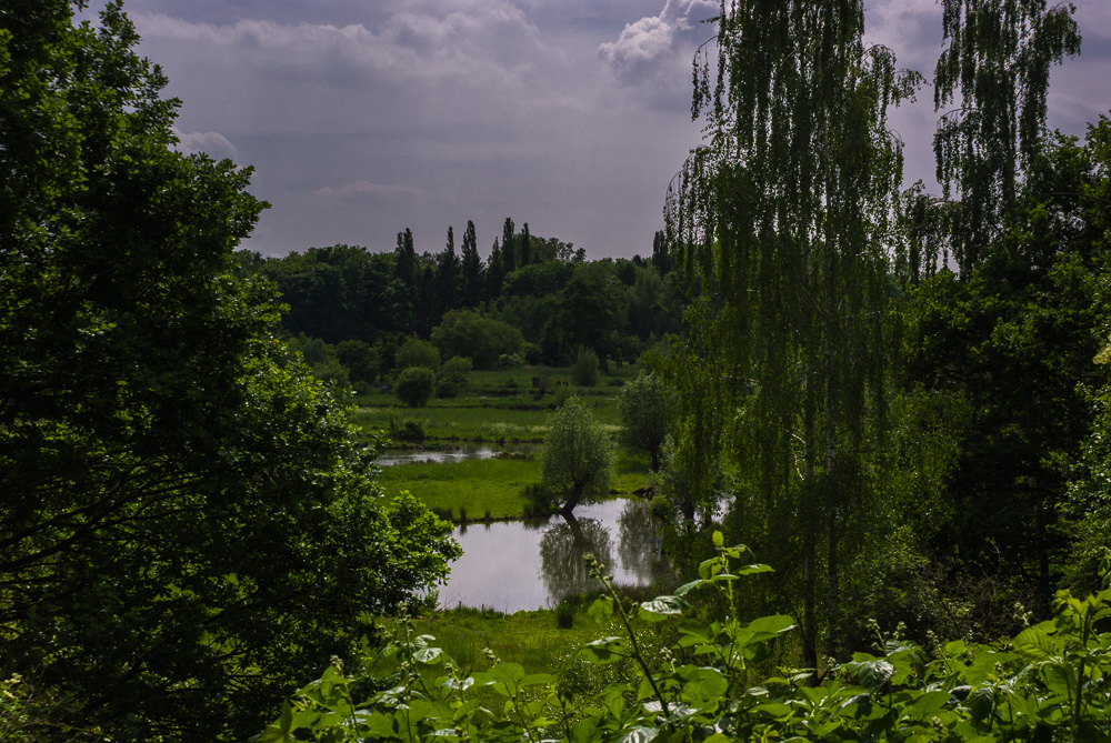 Teichlandschaft