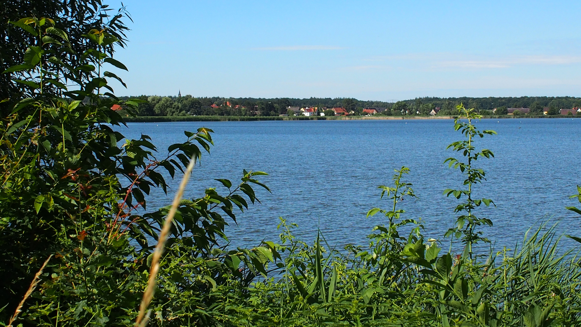 Teichlandschaft