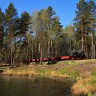 Teichlandschaft