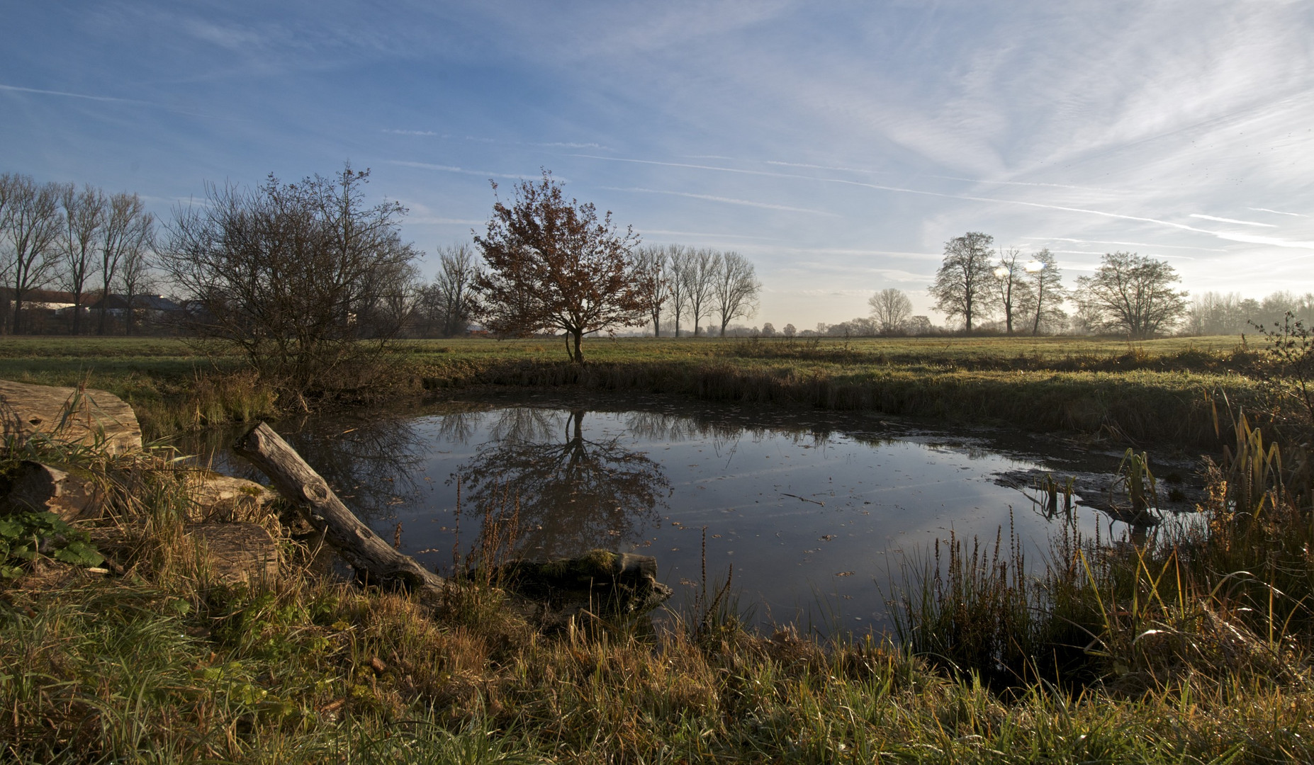 Teichlandschaft