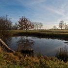 Teichlandschaft